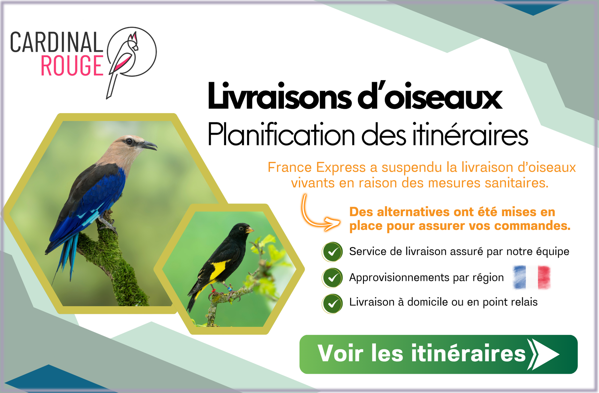 Livraisons d'oiseaux